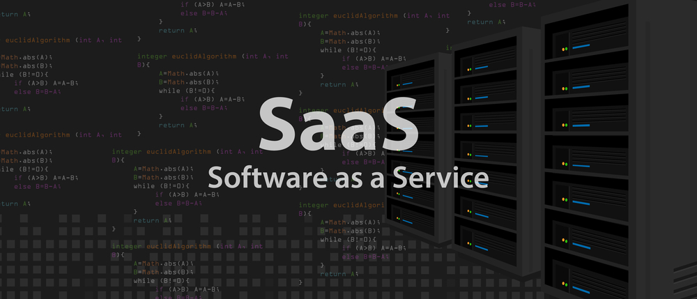 Enterprise Software & Services (SaaS)